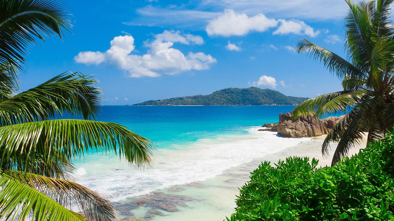 idylic beach in hawaii 2560x1440